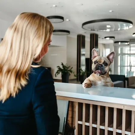 Akces Medical Fit & 드지비르지노