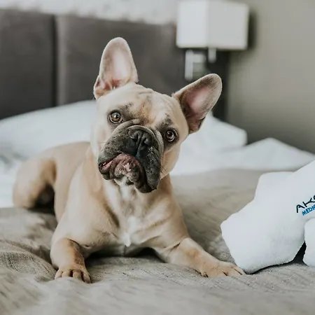 Akces Medical Fit & 3*