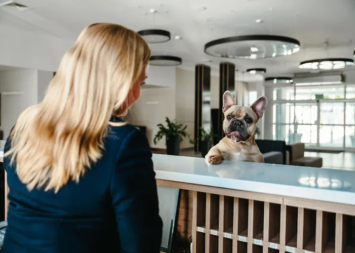 Akces Medical Fit & 드지비르지노