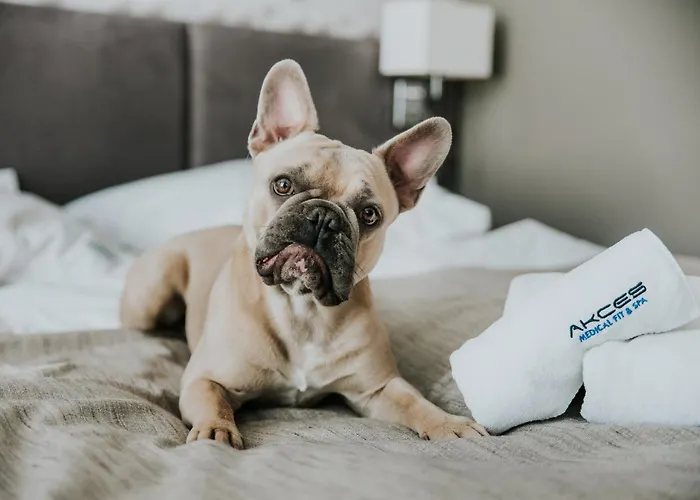 Akces Medical Fit & 3*